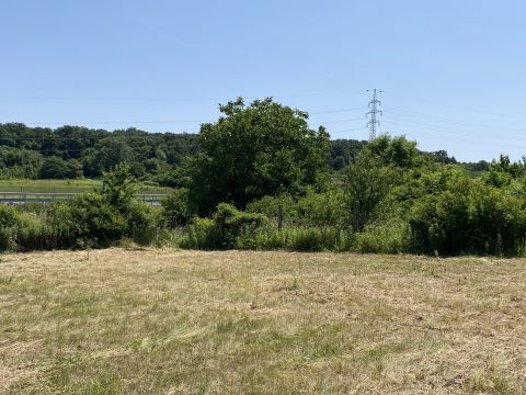 Eladó Telek 9400 Sopron , Elkerülő útnál gyümölcsös eladó!