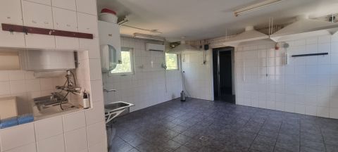 Kiadó Vendéglátás 4031 Debrecen , Debrecen Csigekert