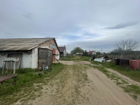 Eladó Mezőgazdasági 6781 Domaszék 
