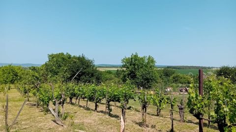 Eladó Telek 2091 Etyek 