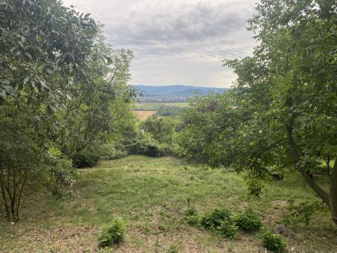 Eladó Telek 2095 Pilisszántó 
