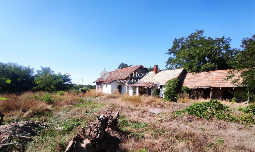 5241 Abádszalók — 1/4