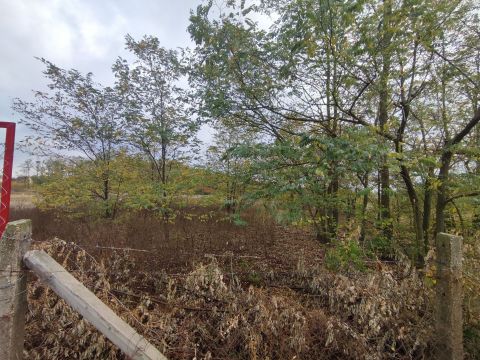 Eladó Telek 6000 Kecskemét , Dongó utca mellett