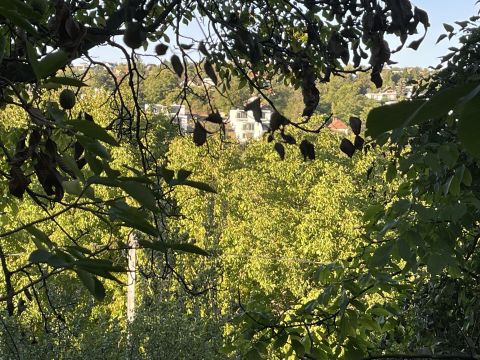 Eladó Telek 1037 Budapest 3. kerület , Aranypatak utca
