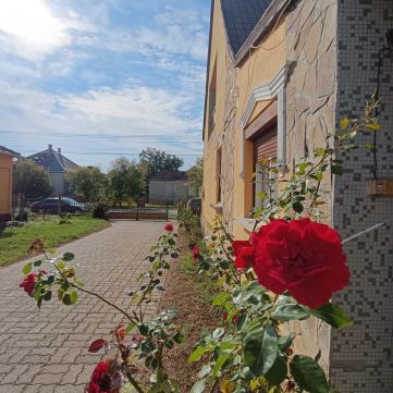 Eladó Ház 8868 Letenye 