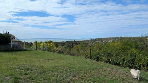 Eladó Telek 8174 Balatonkenese 