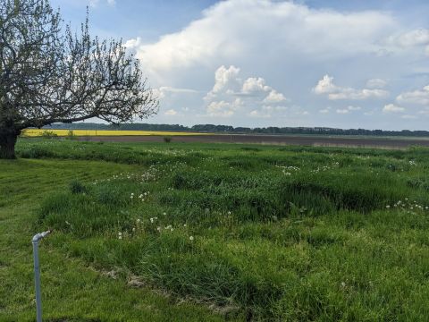 Eladó Telek 5244 Tiszaszőlős 