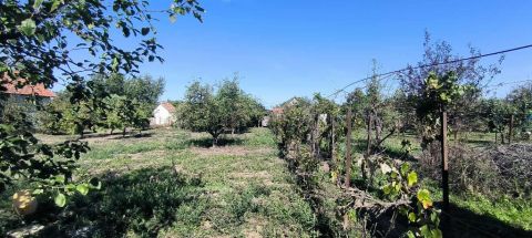 Eladó Telek 5600 Békéscsaba 5600 Békéscsaba, Kastélyszőlők