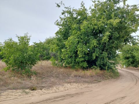 Eladó Telek 6500 Baja , Alvég