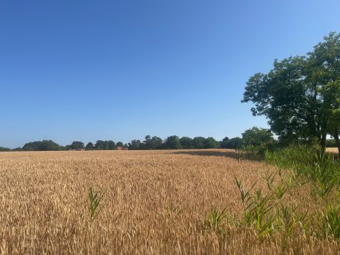 Eladó Telek 8651 Balatonszabadi , Sok lehetőséggel, 4000 nm belterületi telek eladó!