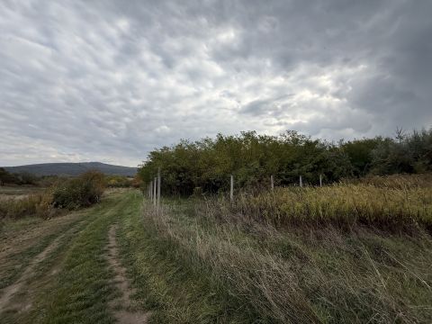 Eladó Telek 2536 Nyergesújfalu 