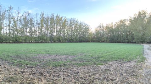 Eladó Telek 6000 Kecskemét , 78300nm szántó és erdő, felújítandó tanyával a reptérnél