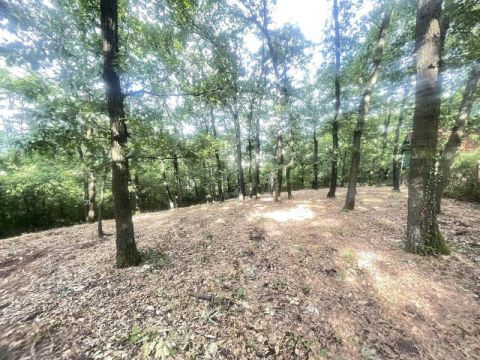 Eladó Telek 2621 Verőce 