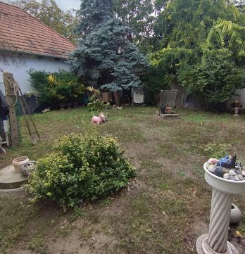 Eladó Lakás 2120 Dunakeszi 