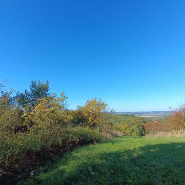 Eladó Ház 8778 Újudvar 