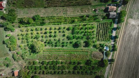 Eladó Telek 2463 Tordas Fábrika sor 