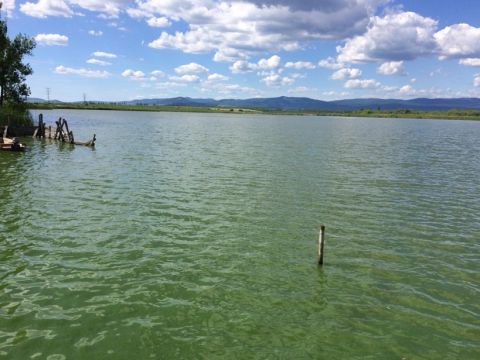 Eladó Mezőgazdasági 3212 Gyöngyöshalász , 3212 Gyöngyöshalász Rét út végében