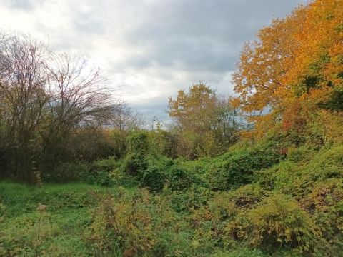 Eladó Telek 8796 Türje 