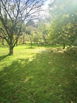 Eladó Telek 8900 Zalaegerszeg 