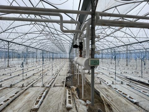 Eladó Ház 6080 Szabadszállás , Modern mezőgazdasági telephely lakóházzal