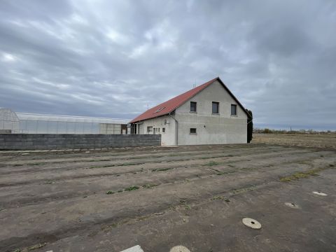 Eladó Ház 6080 Szabadszállás , Modern mezőgazdasági telephely lakóházzal