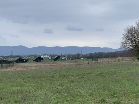 Eladó Mezőgazdasági 2163 Vácrátót 