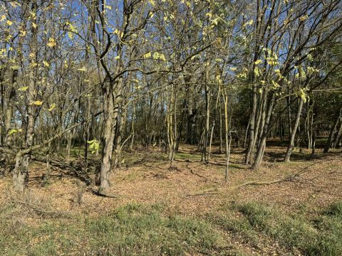 Eladó Mezőgazdasági 7815 Harkány , Külterület üzemi ingatlan eladó! 