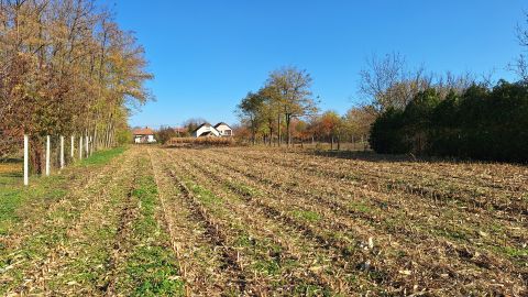 Eladó Telek 3359 Tenk 