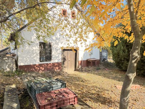 Eladó Telek 7694 Hosszúhetény 