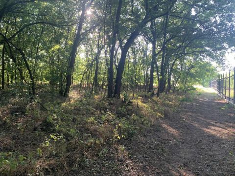 Eladó Telek 2769 Tápiószőlős , 2769 Tápiószőlős, Külterület