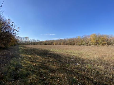Eladó Telek 8043 Iszkaszentgyörgy BEFEKTETŐK FIGYELEM! Fejér megyében 4,2ha Intézményi terület