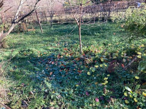 Eladó Telek 2096 Üröm 