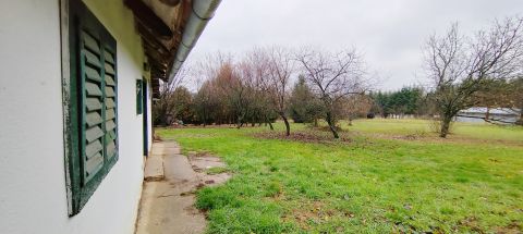 Eladó Ház 8800 Nagykanizsa , Liszói hegyen kedves kis pince eladó!