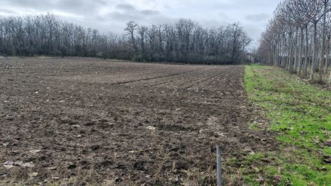 Eladó Telek 2338 Áporka 