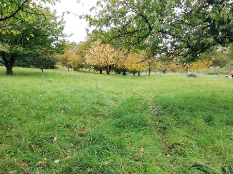 Eladó Telek 8900 Zalaegerszeg 