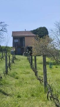 Eladó Telek 2911 Mocsa , Bánomi Dülő