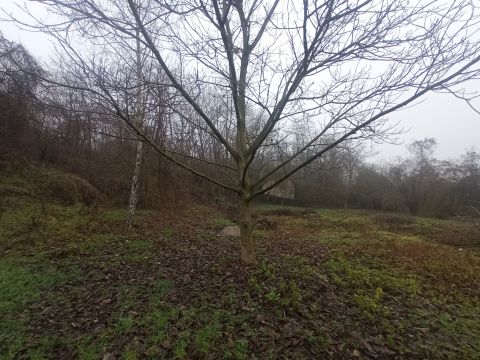 Eladó Telek 8087 Alcsútdoboz 