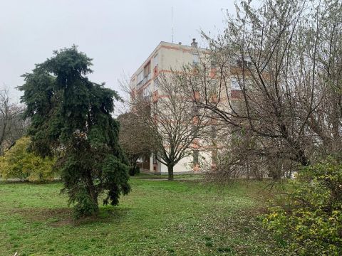 Eladó Lakás 5200 Törökszentmiklós 5200 Törökszentmiklós, csendes