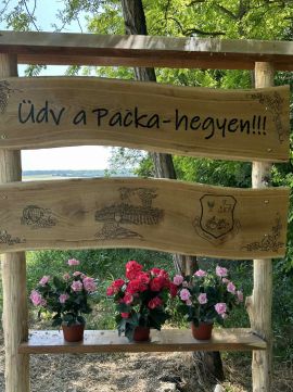 Eladó Telek 8656 Nagyberény Belső-Szőlőhegy