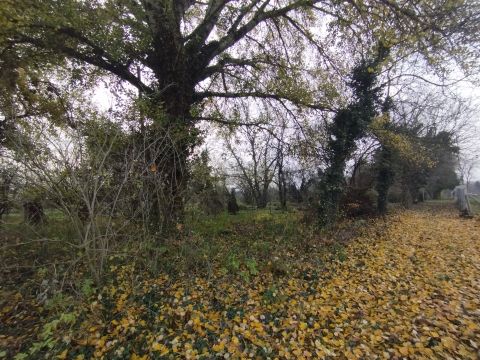 Eladó Telek 4002 Debrecen Debrecen Sámsoni útból nyíló utcában