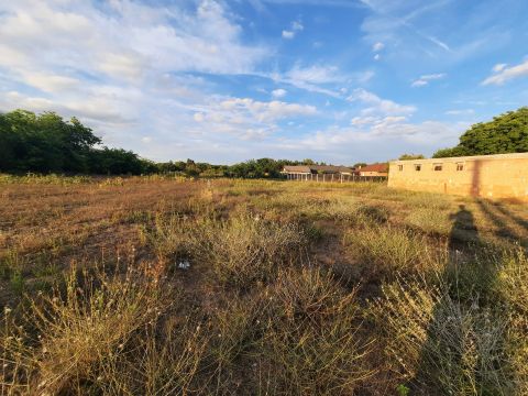 Eladó Telek 2376 Hernád Építési telek központ közeli utcában