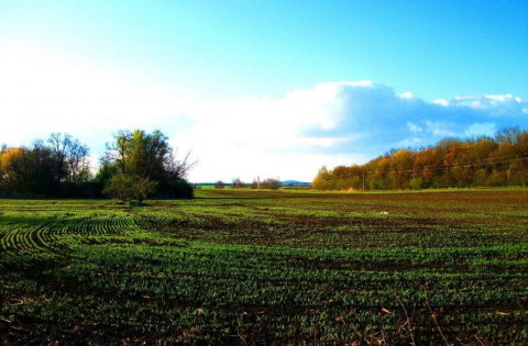 Eladó Telek 9246 Mosonudvar 