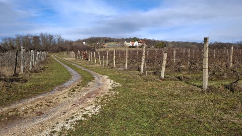 Eladó Telek 8255 Balatonrendes 