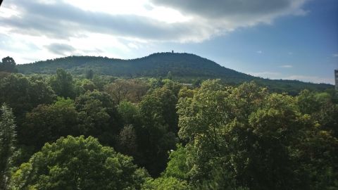 Eladó Lakás 1021 Budapest 2. kerület 