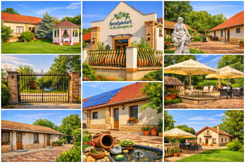 Eladó Vendéglátás 6621 Derekegyház 