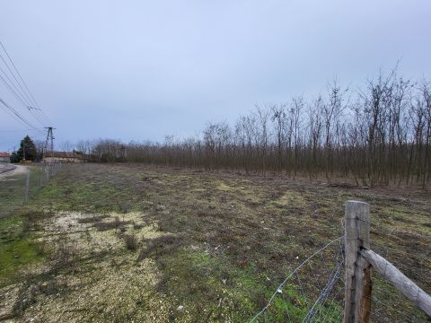 Eladó Telek 2373 Dabas , Dabas csendes, városszéli aszfaltozott utcája