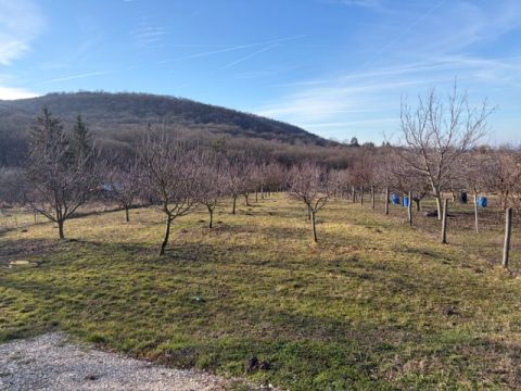 Eladó Telek 2835 Tata 