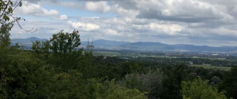 Eladó Telek 2146 Mogyoród , Kukukk hegy