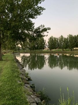 Eladó Ház 6239 Császártöltés , HALASTAVAK / ÁLLATSIMOGATÓ / PRÉMIUM OTTHON EGYBEN!