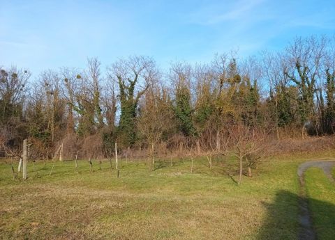 Eladó Ház 8790 Zalaszentgrót 